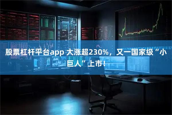 股票杠杆平台app 大涨超230%，又一国家级“小巨人”上市！