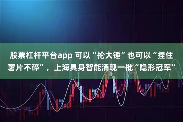 股票杠杆平台app 可以“抡大锤”也可以“捏住薯片不碎”，上海具身智能涌现一批“隐形冠军”