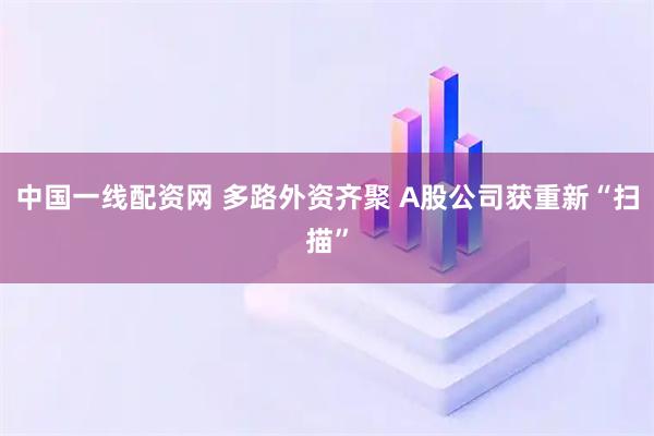 中国一线配资网 多路外资齐聚 A股公司获重新“扫描”